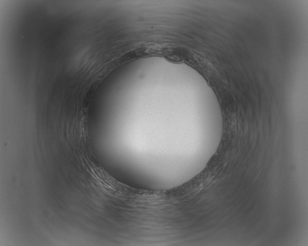 X0000075410914200609080957