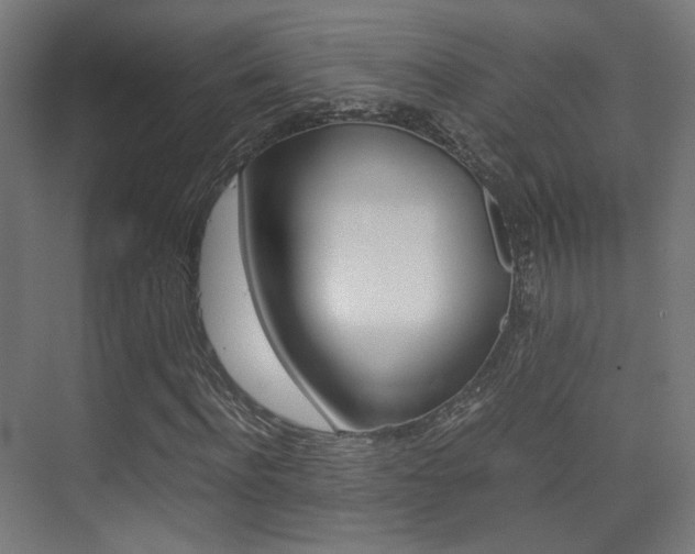 X0000075410916200609080957