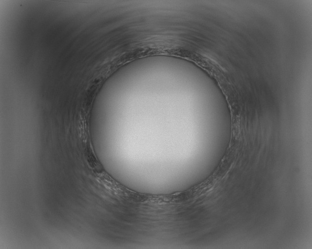 X0000075410917200609080957