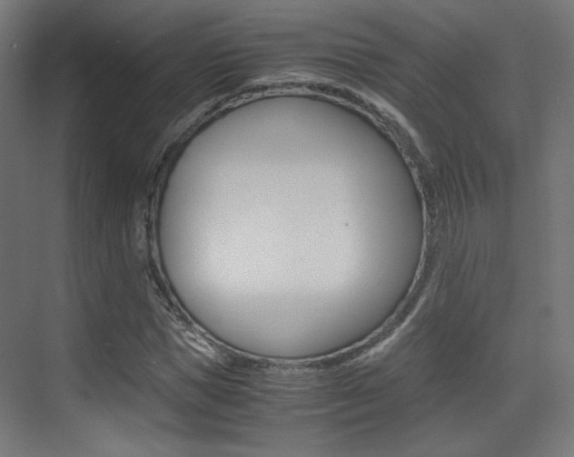 X0000075410921200609080958