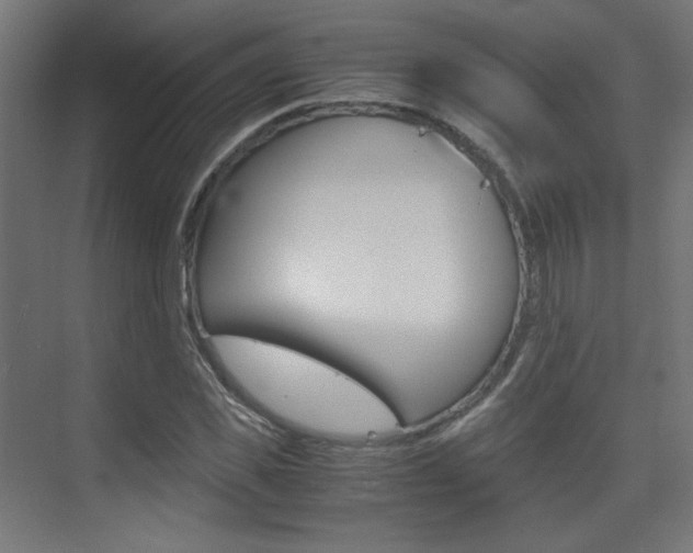 X0000075410925200609080958
