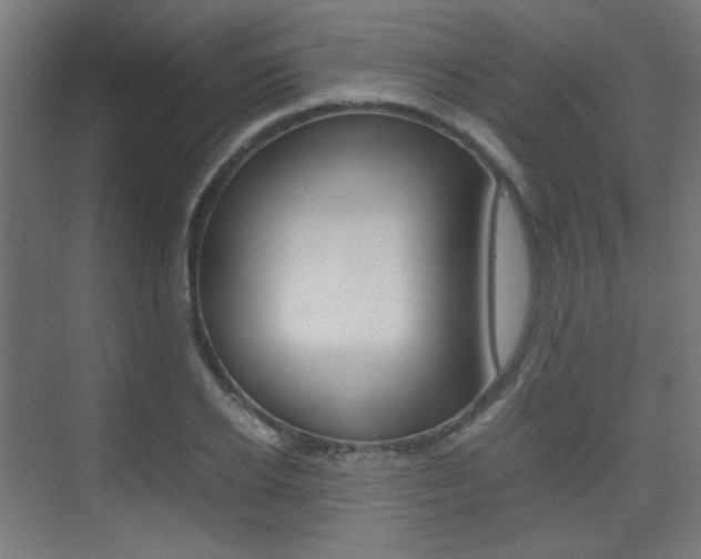 X0000075410934200609080958