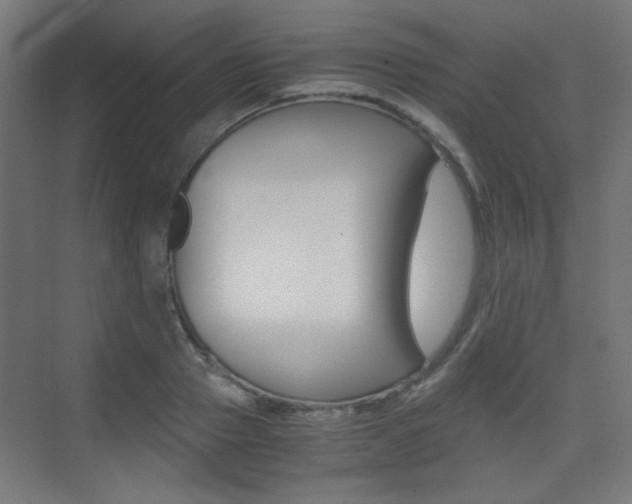 X0000075410937200609080958
