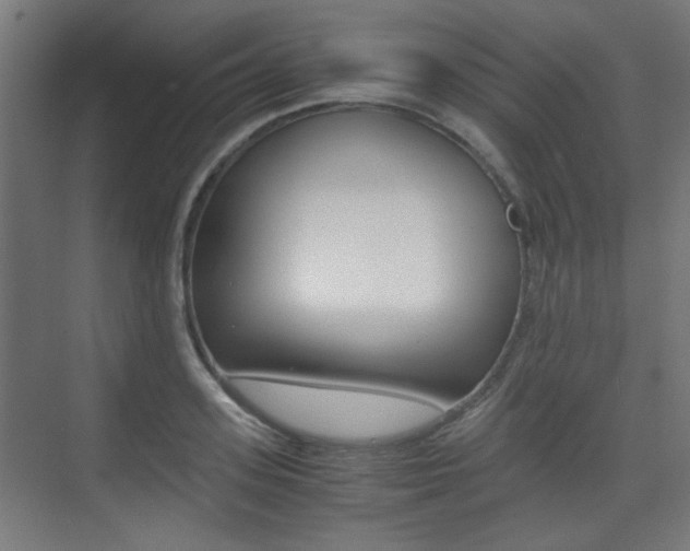 X0000075410939200609080958