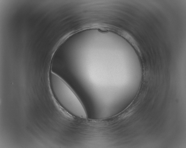 X0000075410954200609080958