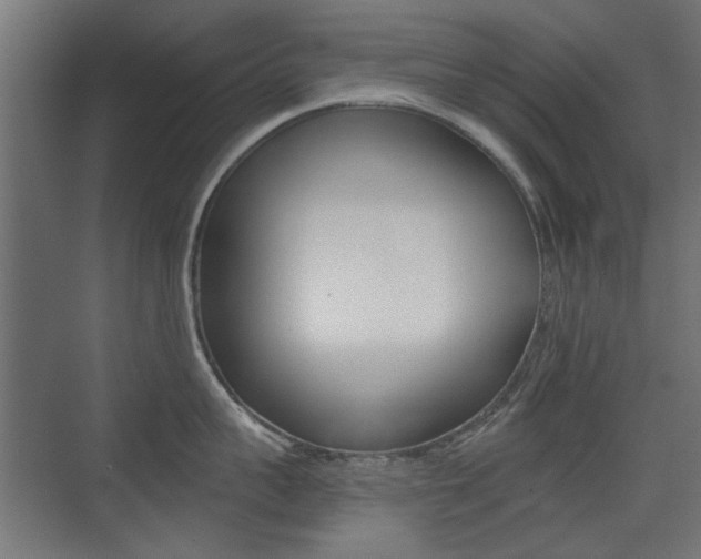 X0000075410959200609080958