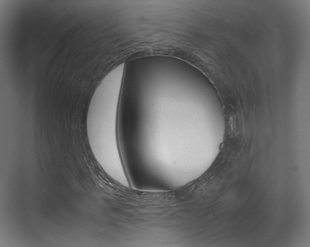 X0000075410963200609080957