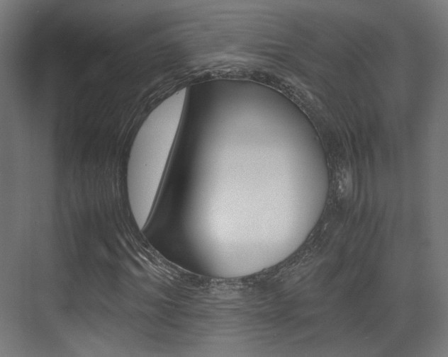 X0000075410964200609080957