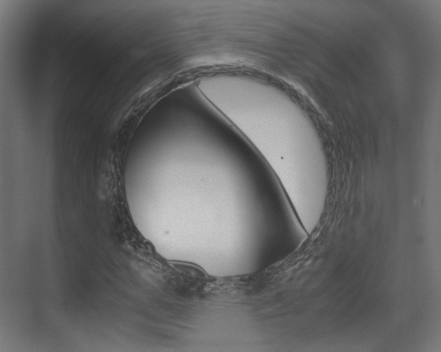 X0000075410967200609080957