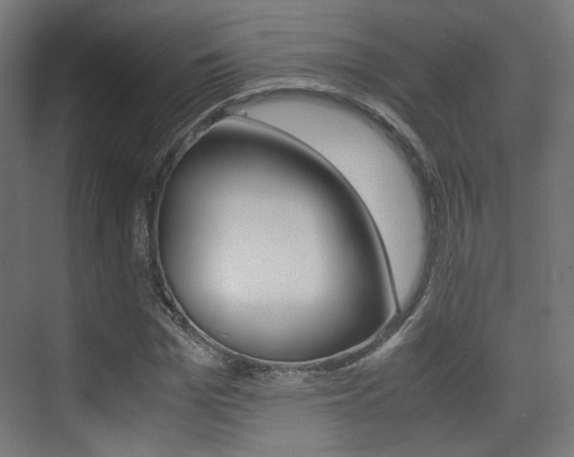 X0000075410969200609080957