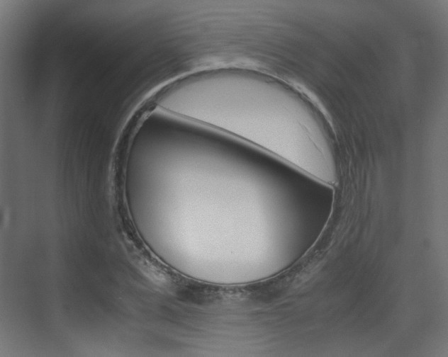 X0000075410975200609080957