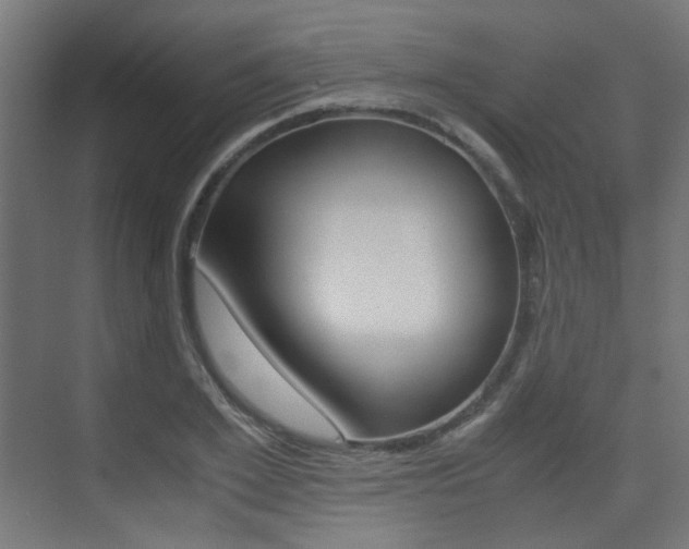 X0000075410981200609080957