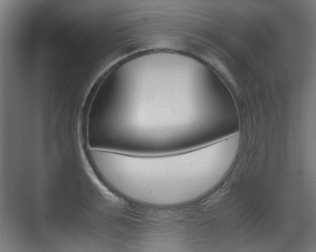 X0000075410991200609080957