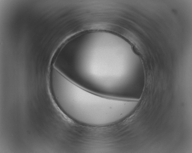 X0000075410992200609080957