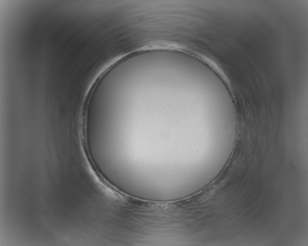 X0000075411003200609080957