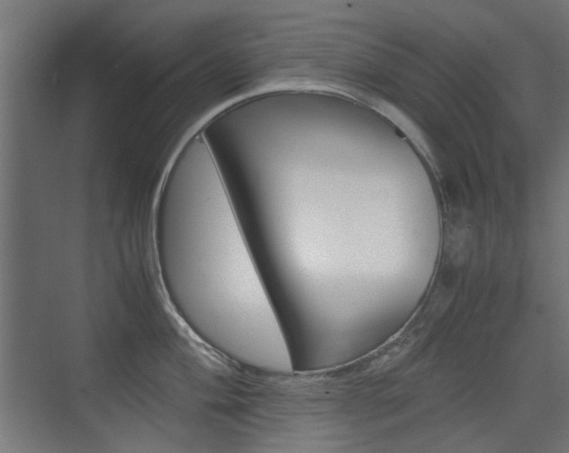 X0000075411004200609080957
