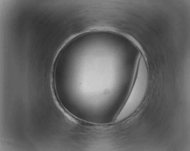 X0000075411005200609080957