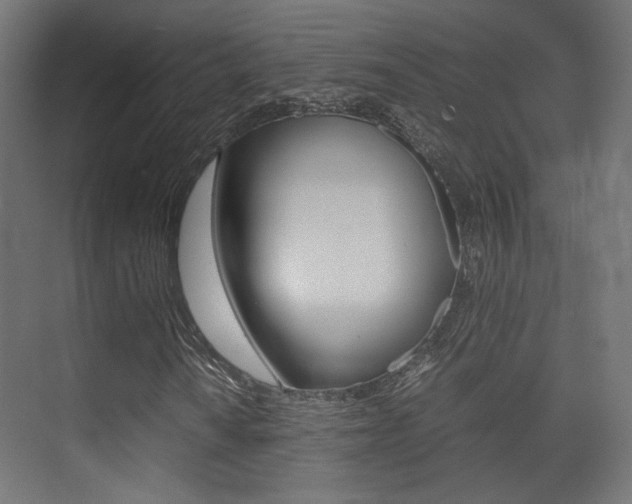 X0000075411010200609080956