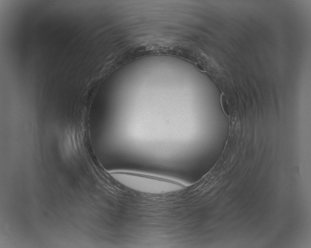 X0000075411012200609080956