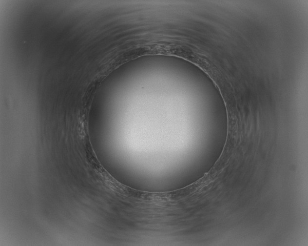 X0000075411013200609080956