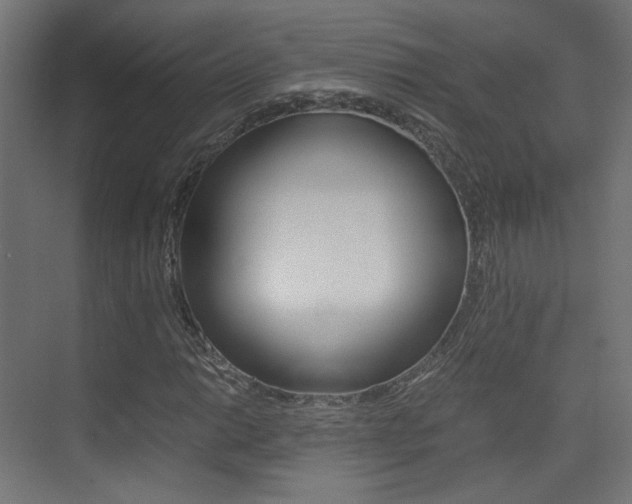 X0000075411014200609080956