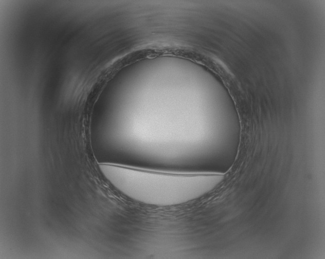 X0000075411016200609080956