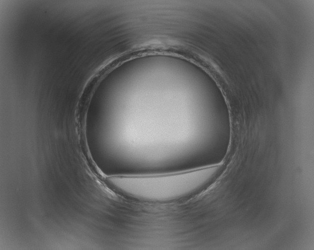X0000075411018200609080956
