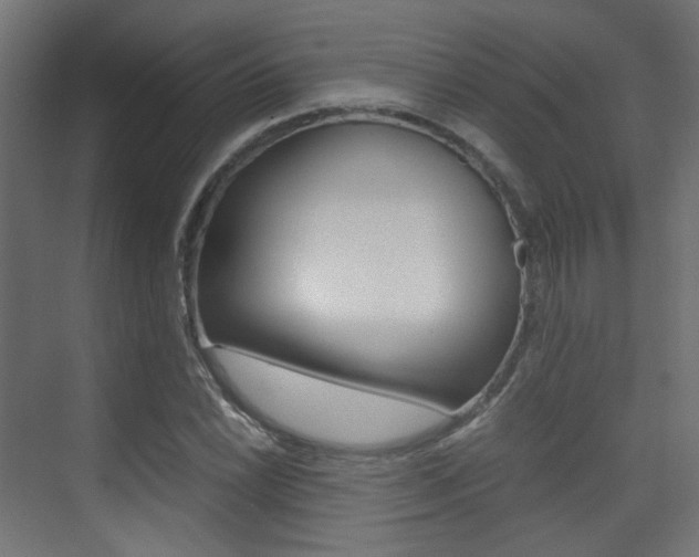 X0000075411022200609080956