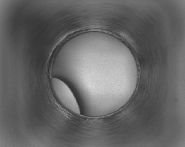 X0000075411023200609080956