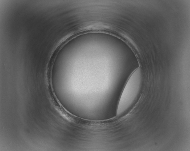 X0000075411026200609080956