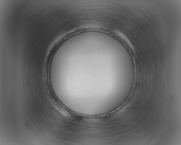 X0000075411027200609080956