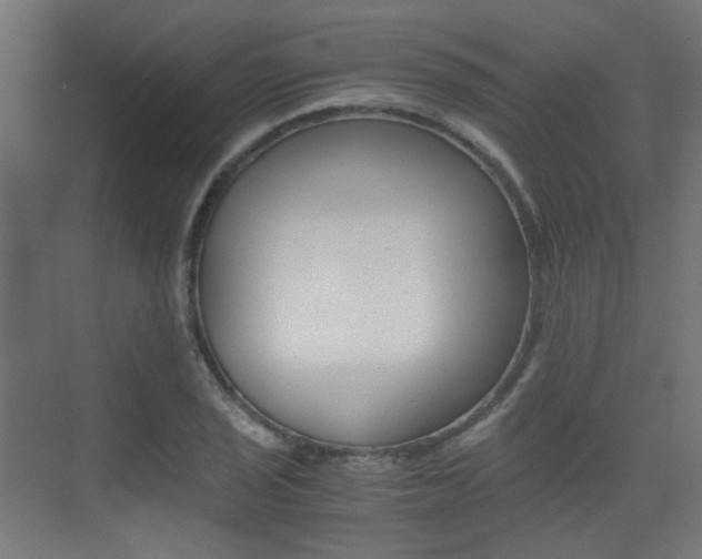 X0000075411029200609080956