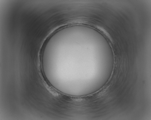 X0000075411031200609080956