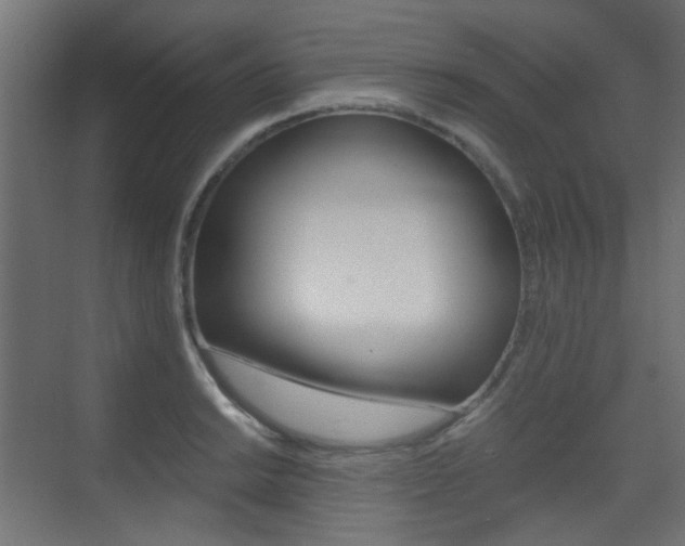 X0000075411038200609080956
