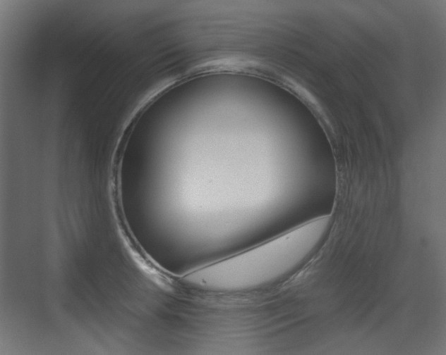 X0000075411042200609080956