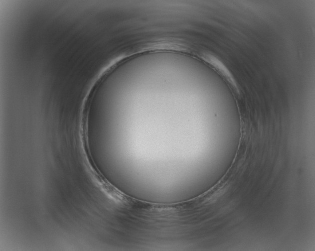 X0000075411043200609080956