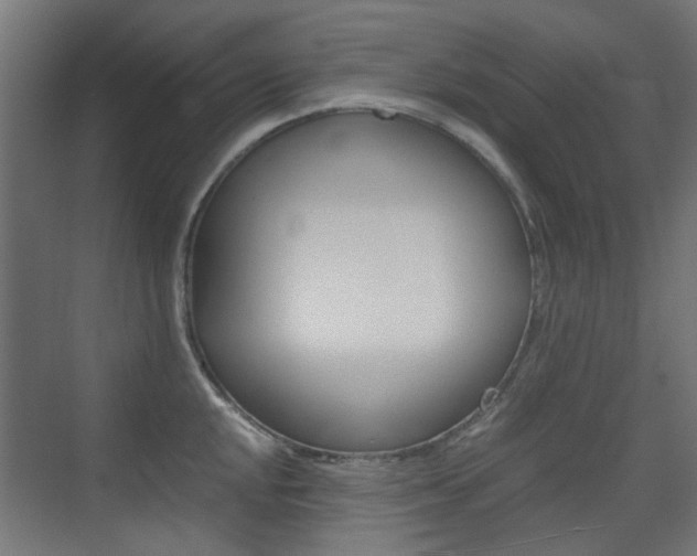 X0000075411048200609080956