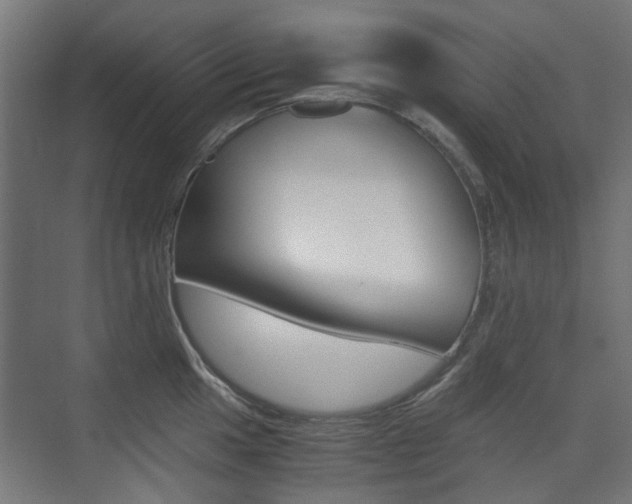 X0000075411049200609080956
