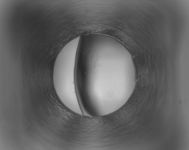 X0000075411058200609080956
