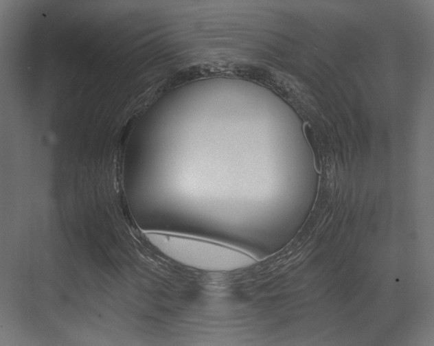 X0000075411060200609080956