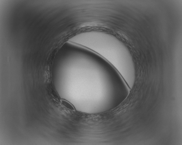 X0000075411062200609080956