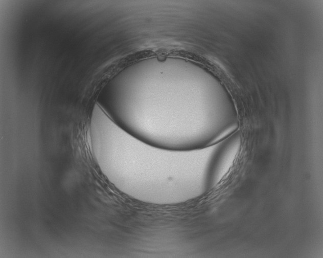 X0000075411063200609080956
