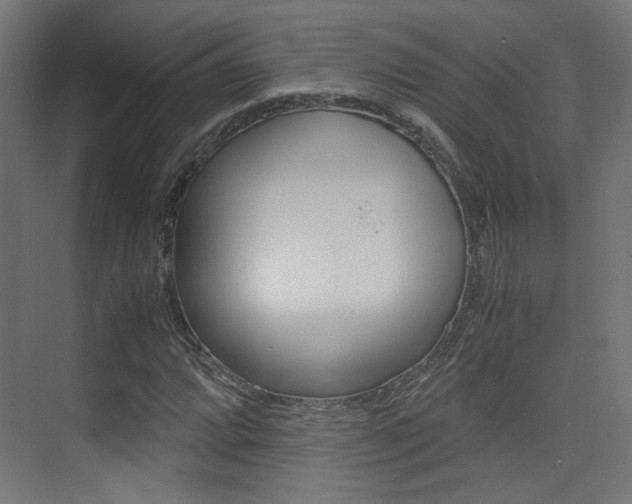 X0000075411064200609080956