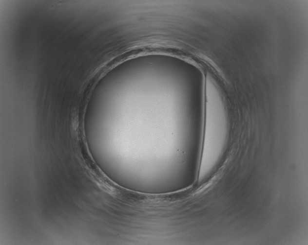 X0000075411065200609080956