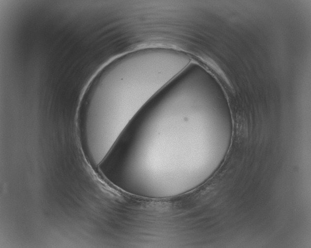 X0000075411068200609080956