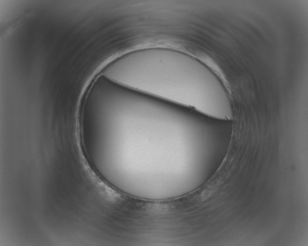 X0000075411088200609080955
