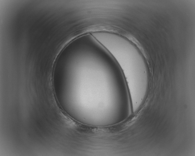 X0000075411089200609080955