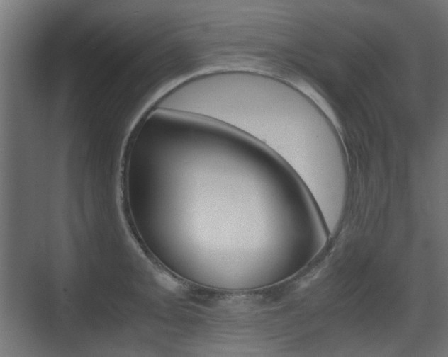 X0000075411093200609080955