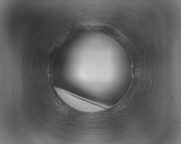 X0000075411108200609080954