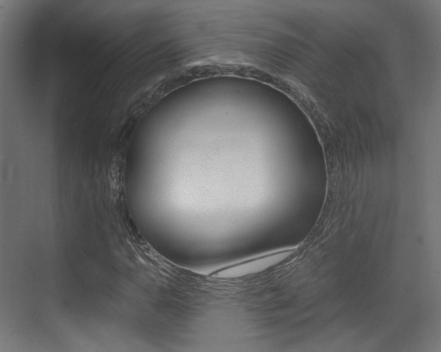 X0000075411110200609080954